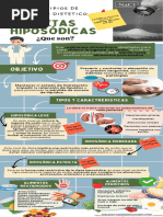 Infografía Nutrición Dietas Hiposodicas