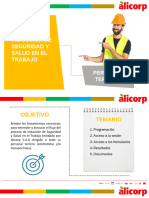 Guía Del Proceso de Inducción de SST - 2024