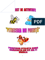 Proiect Insecte