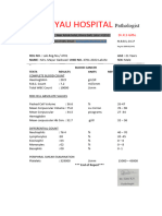 Blood Cancer Report