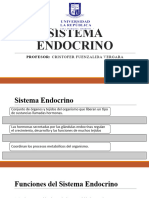 Sistema Endocrino