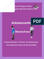 Livro Adolescentes. Metamorfoses. Compreendendo o Cérebro Do Adolescente. Uma Segunda Janela de Oportunidade