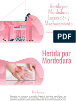 Herida Por Mordedura, Machacamiento y Laceración