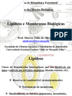 Aula Lipideos Bioqestutural