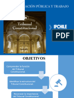 TRIBUNAL CONSTITUCIONAL Corregido4