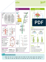 Reproduction Knowledge Organiser