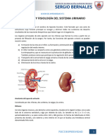 Sesion 1 Asistencia Al Paciente Con Insuficiencia Renal