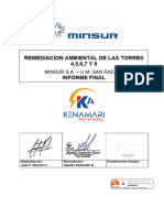 Informe Final Remediacion Ambiental