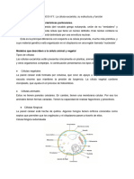 EJE TEMATICO 1 La Célula EUCARIOTA, Estructura y Función