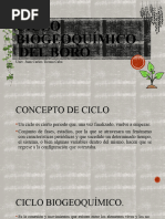 Ciclo Biogeoquímico