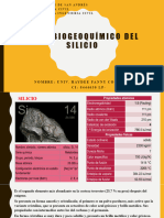 Ciclo Biogeoquímico Del Silicio