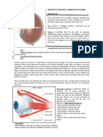 Ortoptica - Ejercicios Oculares