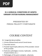 Genital-Urinary Pathologies PPT 021