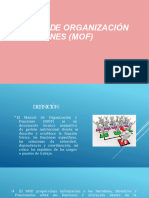 Manual de Organización Y Funciones (Mof)