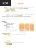 Dermatosis Ampollares