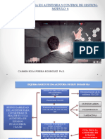 Esquema Del Proceso de Auditoria