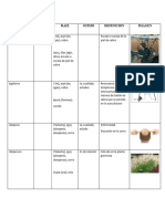 PALABRA DERIVADA DEL GRIEGO (Recuperado Automáticamente)