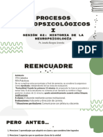 S.02 Procesos Neuropsicológicos I 2024