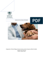 Codigo de Etica Tecnico Veterinario0