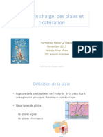 Formation Plaies Plelan Nov 2017