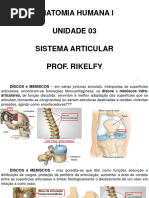 Unidade 3 Sistema Articular