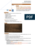 Anatomía Patológica I Bloque (Jhonathan González) Completo