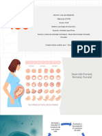 Desarrollo Prenatal, Perinatal y Posnatal