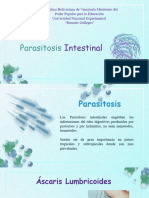 Parasitosis Jose 012835