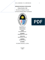 PALOMINO SANCHEZ LIZ-Fisiología de La Memoria y El Aprendizaje PRAC N°6