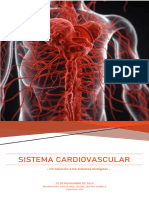 Sistema Circulatorio - Informe