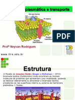 Apresentacaomembranaplasmatica NOVO2