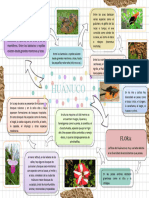 Mapa 3 Ecologia 3