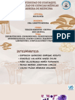 Grupo#4 - Micologia