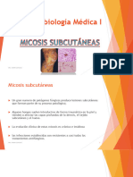 MICROBIOLOGIA I. Clase de Micosis Subcutanea. Dra. Sandra Gonzalez