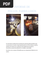 Informe de Pollos Parrilleros