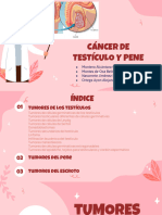 Cáncer de Testículo y Pene