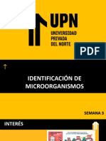 T - SEMANA 3 - Identificación de Microorganismos