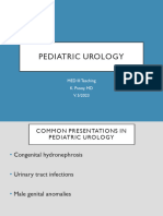 Pediatric Urology 2