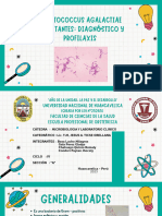 MICROBIOLOGÍA - Streptococcus Agalactiae