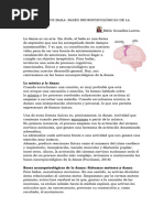 La Relacion de La Danza y El Cerebro Del Niño