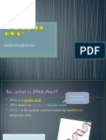 DNA Structure by Neeraj