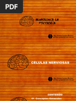 Celulas Nerviosas