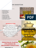 Infusión Digestiva TG