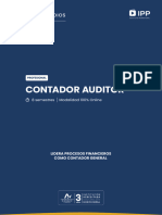 Contador Auditor Ipp