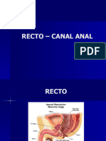 Recto-Canal Anal