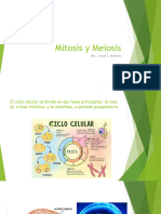 Mitosis y Meiosis AYB