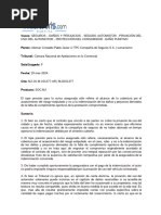 Daños y Perjuicios Seguros Privacion de Uso Del Automotor