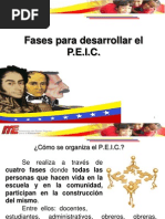 7 Fases Del P.E.I.C.