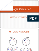 Mitosis y Meiosis-4°