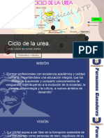 Ciclo de Urea